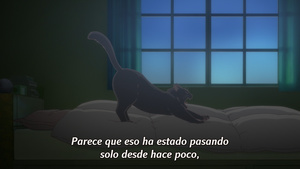 Kanojo to Kanojo no Neko: Everything Flows